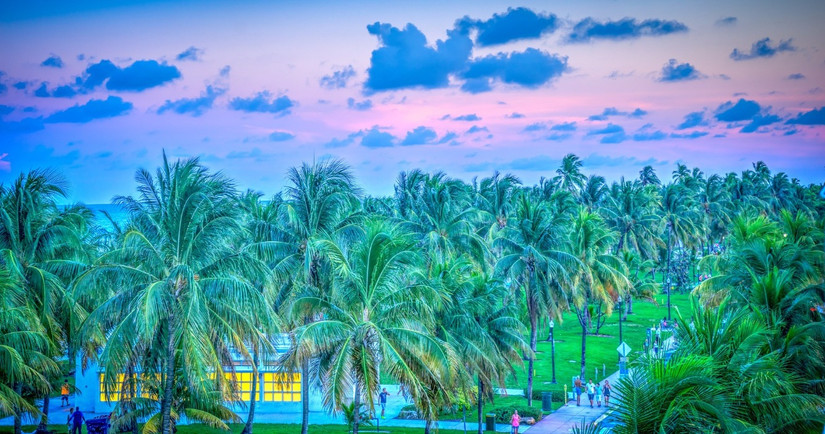 10 Things To Do In Miami This Winter