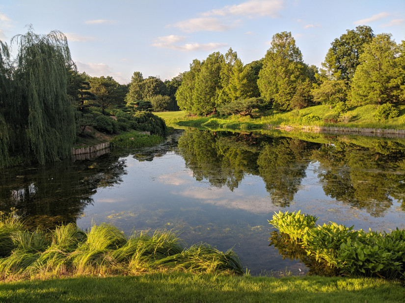 A Day's Walk: Guide To Chicago's Beautiful Botanic Garden
