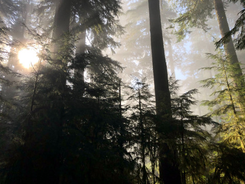10 Amazing Things To Do In Eugene Oregon This Fall