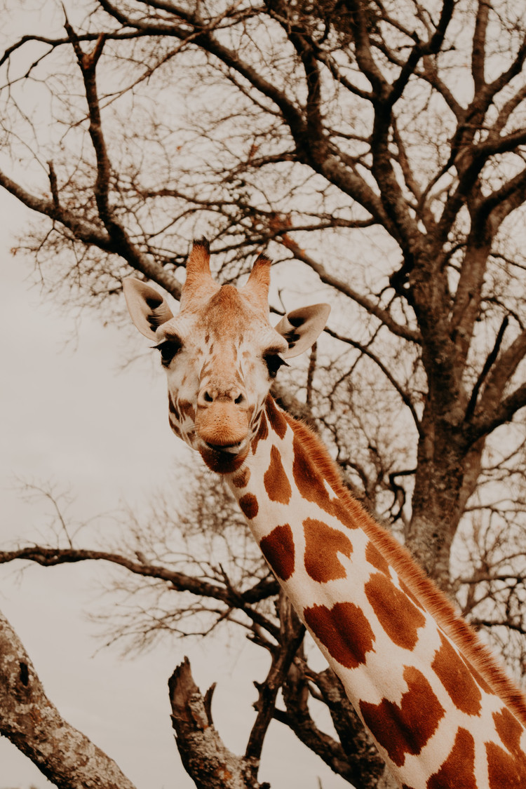 14 Destinations Where You Can Get Up Close & Personal With Wildlife