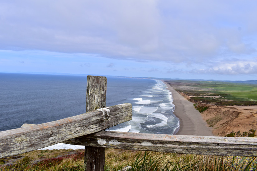 10-Day California National Park Road Trip Itinerary