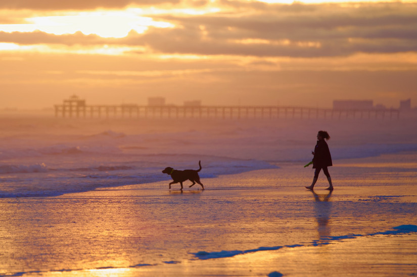 10 Best Road Trips You Can Take Through The Scenic State Of South Carolina