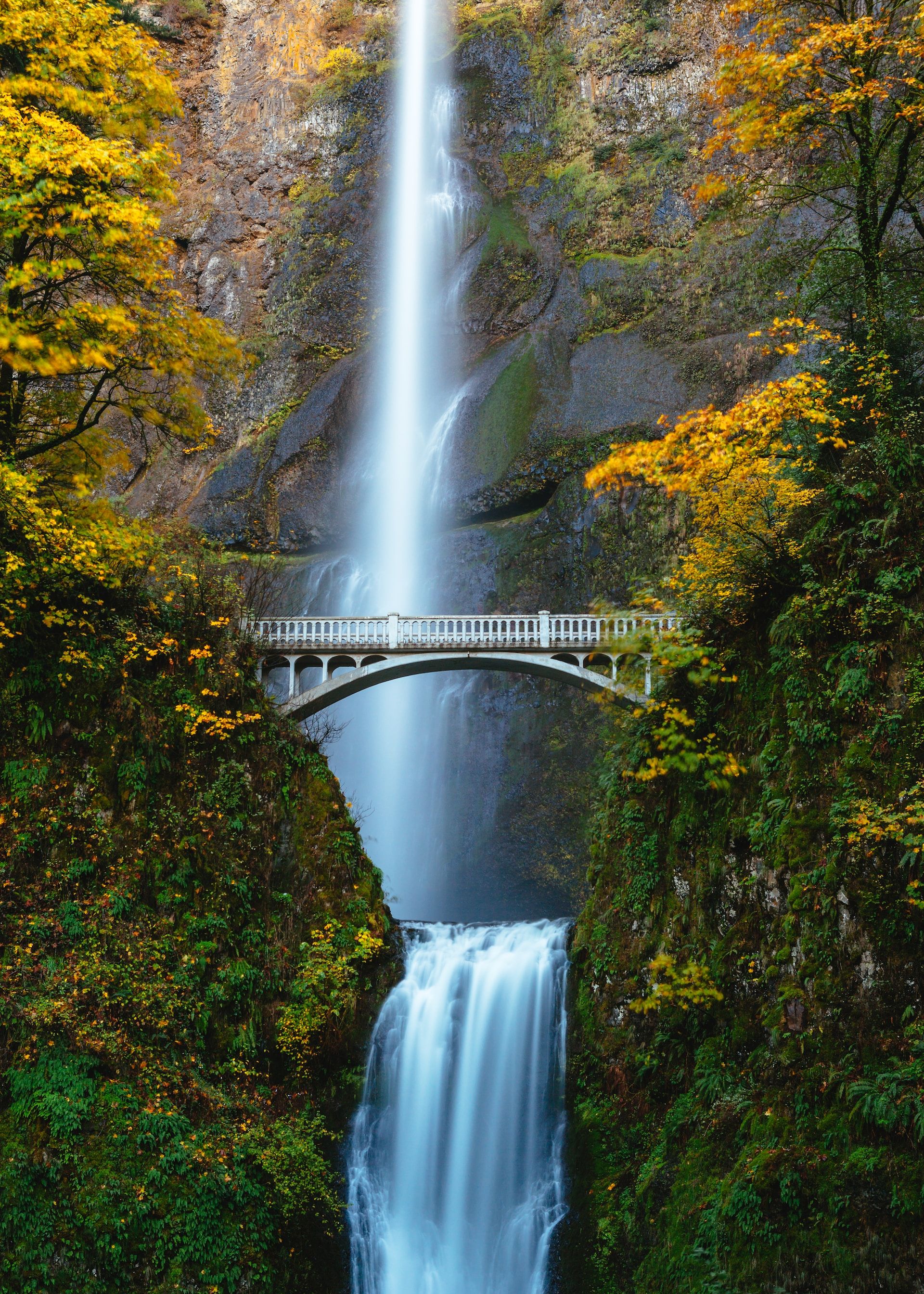 8 Best Fall Foliage Hikes In Oregon In 2024