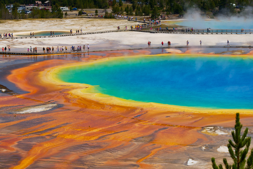 Grand Prismatic Spring: Discover Yellowstone's Largest Hot Spring (With ...
