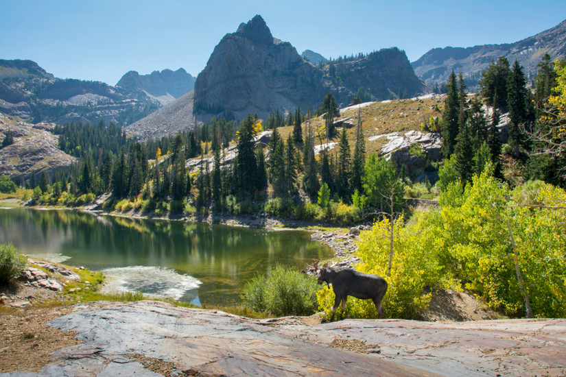 These Are The 12 Largest Native American Reservations In The USA You ...