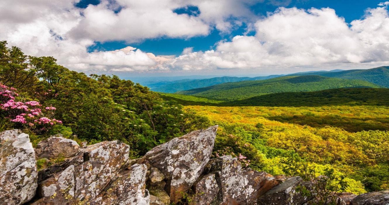 8 Best Blue Ridge Mountains Hikes: 2025 Edition
