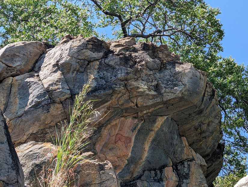 This Secluded Island Retreat In Botswana Is The Perfect Wildlife Escape