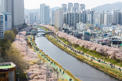 10 Most Beautiful Towns To Visit In South Korea This Fall