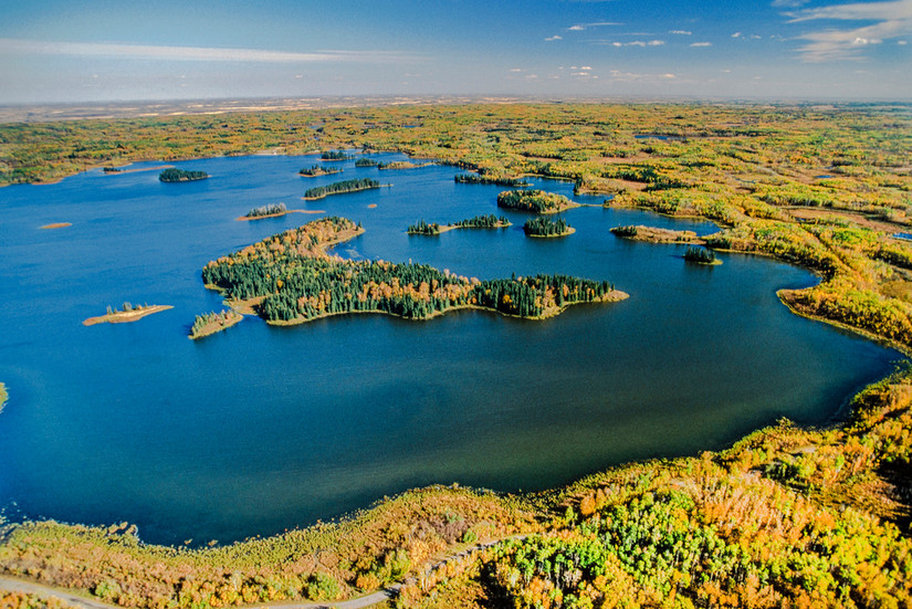 Canada's Elk Island National Park Is One Of The Best Places To See ...