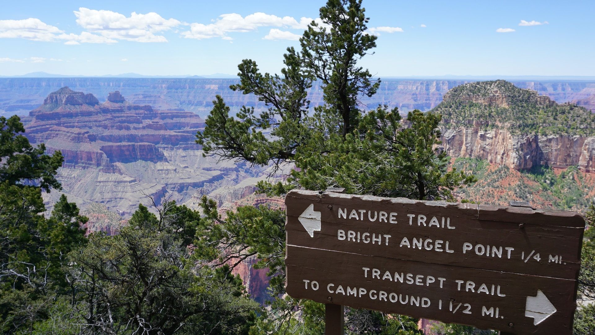 7 Best Trails At The Grand Canyon's North Rim