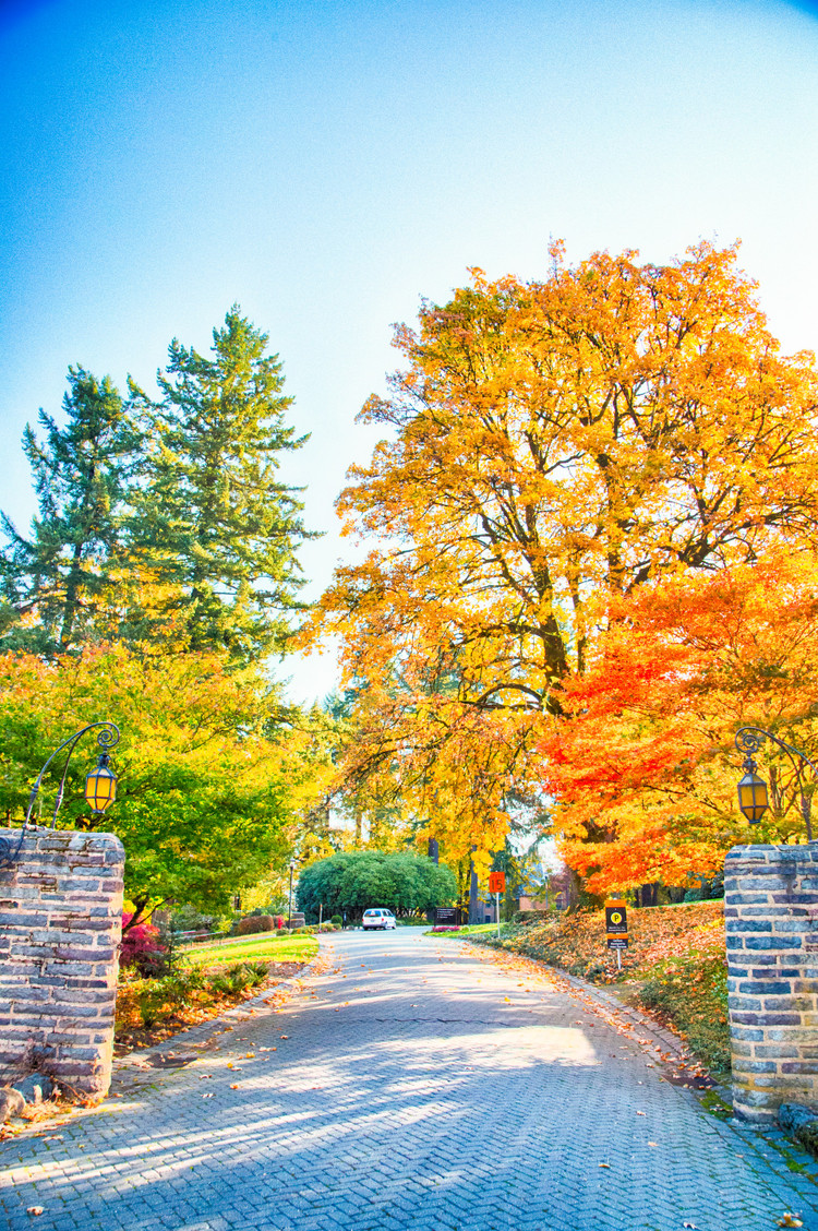 10 Scenic Drives That Show Off The Best Fall Foliage On The West Coast