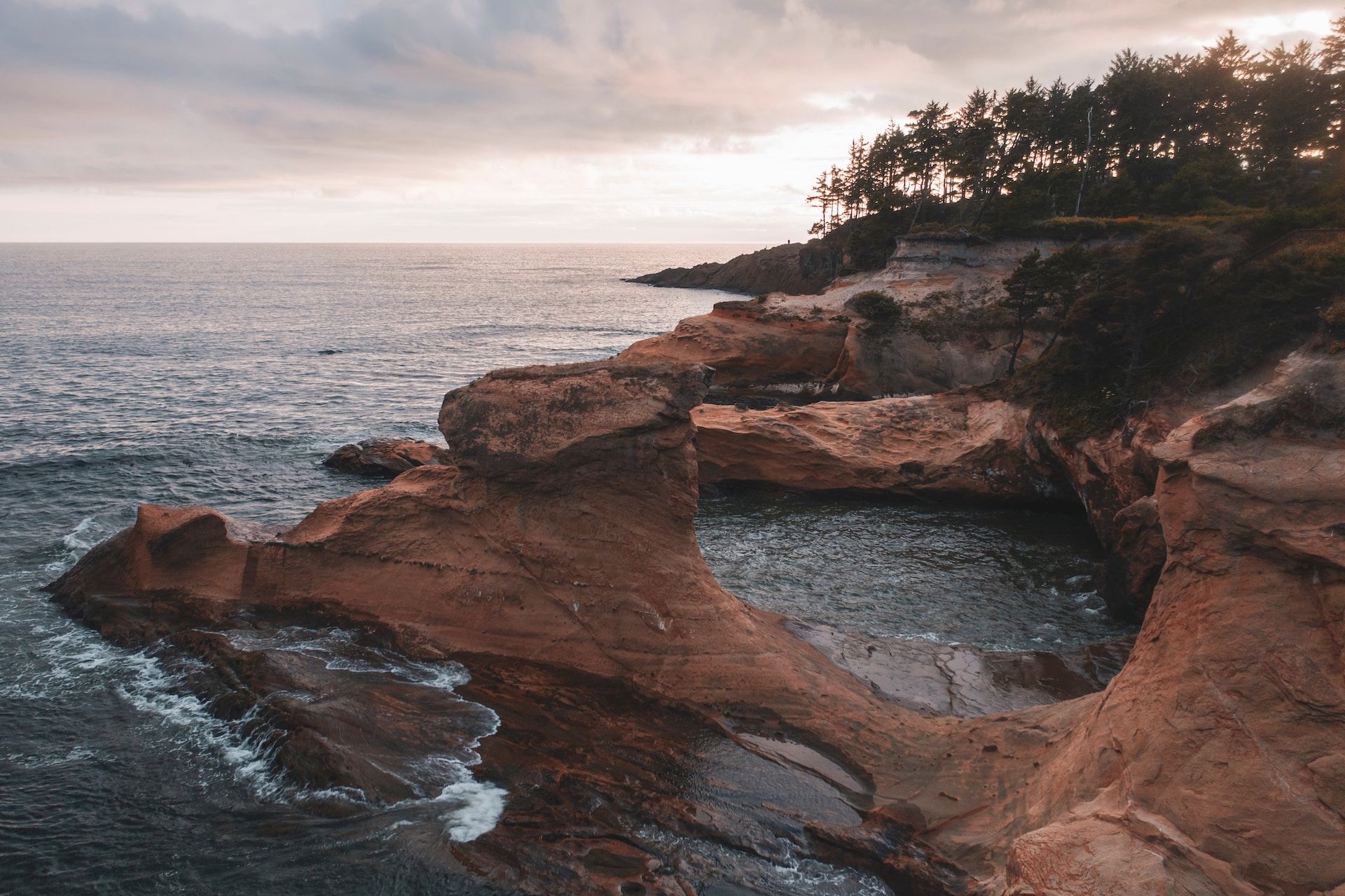 8 Best Places For Whale Watching In America This Winter