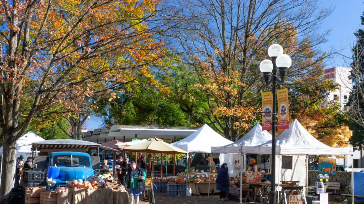 10 Hotels In Eugene, Oregon To Stay At In The Fall And Delight In ...