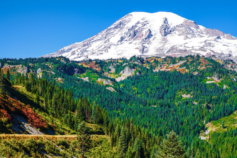 From Wildflowers To Crisp Leaves: 10 Mount Rainier Hikes That Show Off ...
