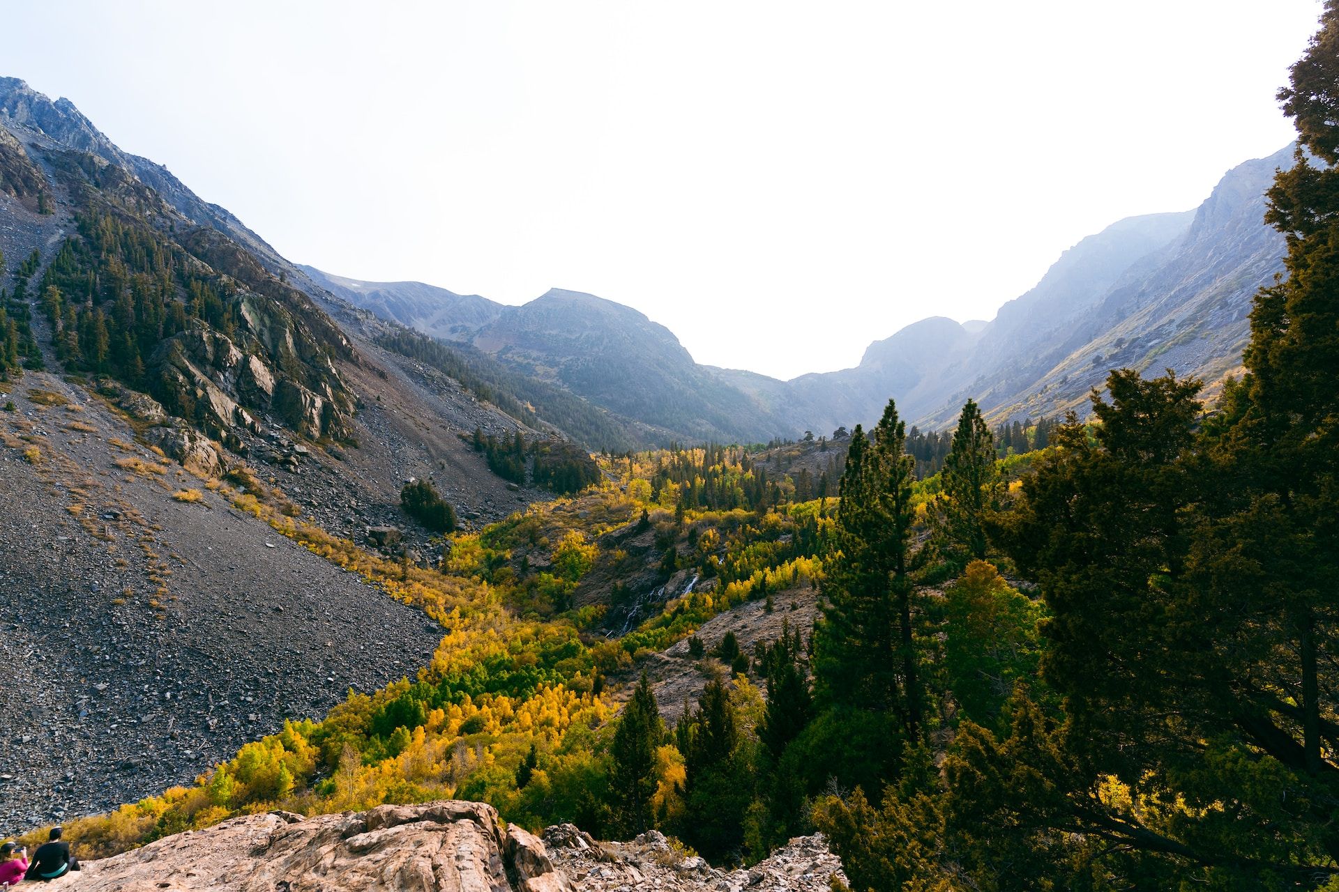 7 Best Fall Foliage Hikes In California In 2024