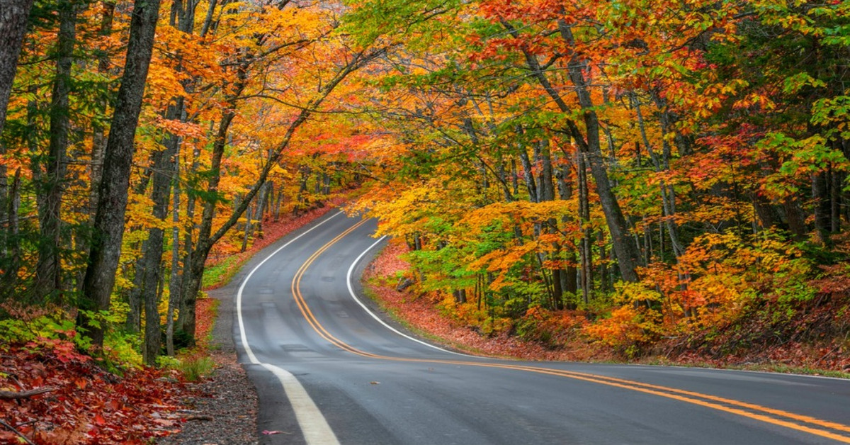 resized-image-promo-2023-08-