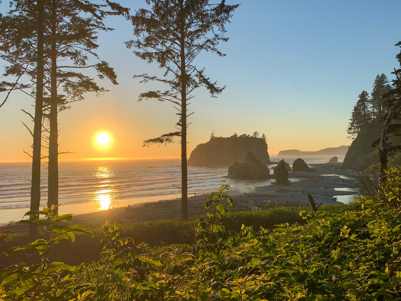 11 Things To Do In Olympic National Park: Complete Guide To Washington ...