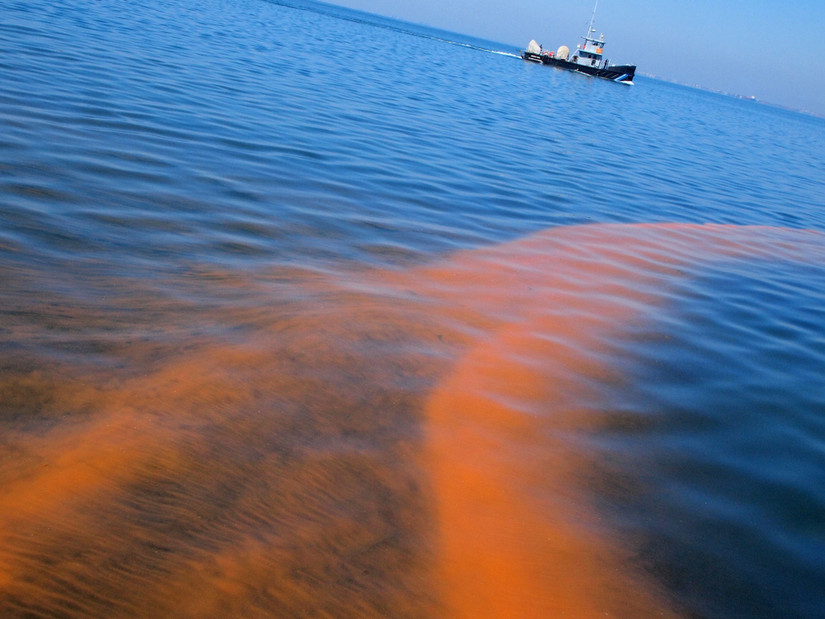Red Tides 10 Truly Fascinating Underwater Phenomena (& How To See Them)