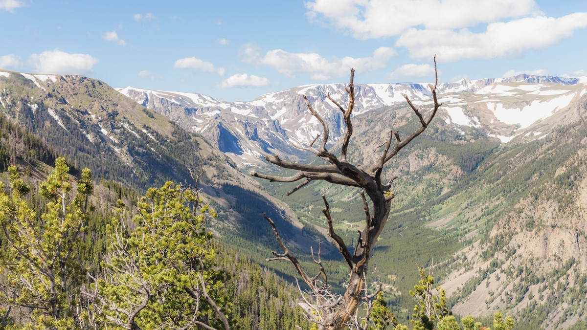 Driving Vs. Hiking: What To Know About The Beartooth Mountains ...