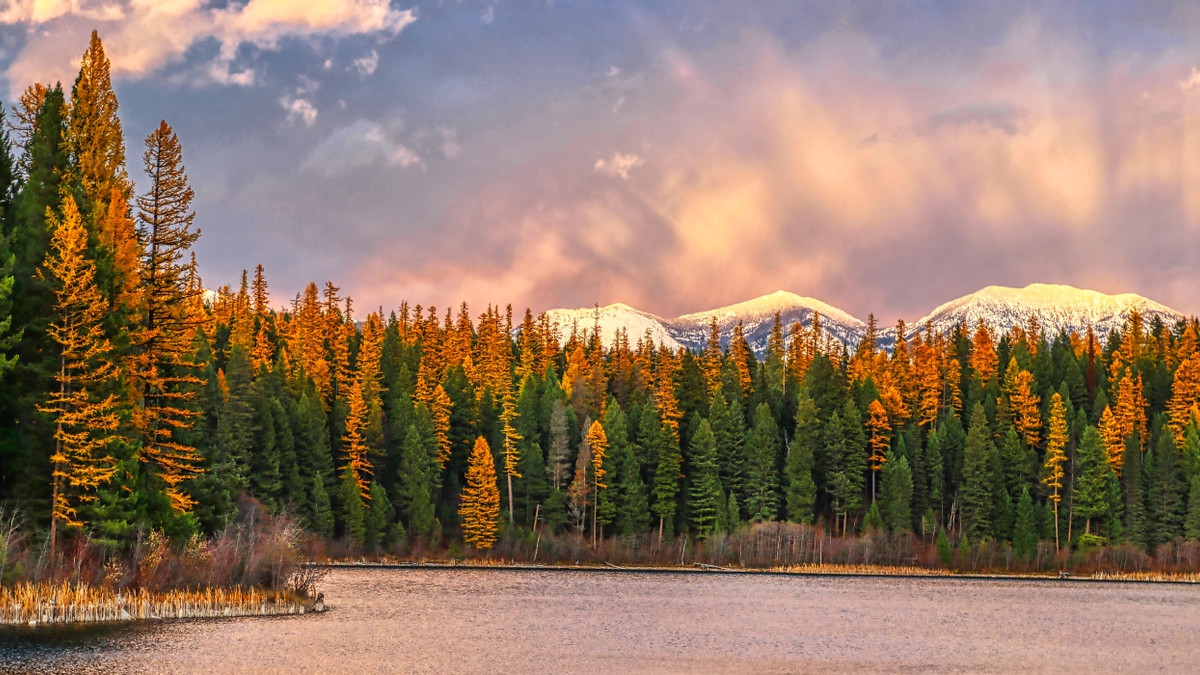10 Things To Do In Whitefish: Complete Guide To This Scenic ...
