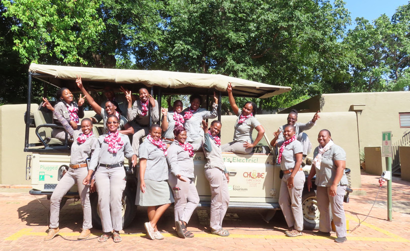Going Green: The Ultimate Guide To A Sustainable Safari In Botswana