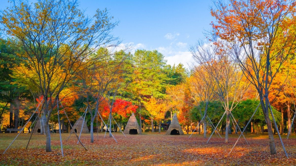 10 Underrated Asia Destinations Where You Can See Fall Foliage (& Where ...