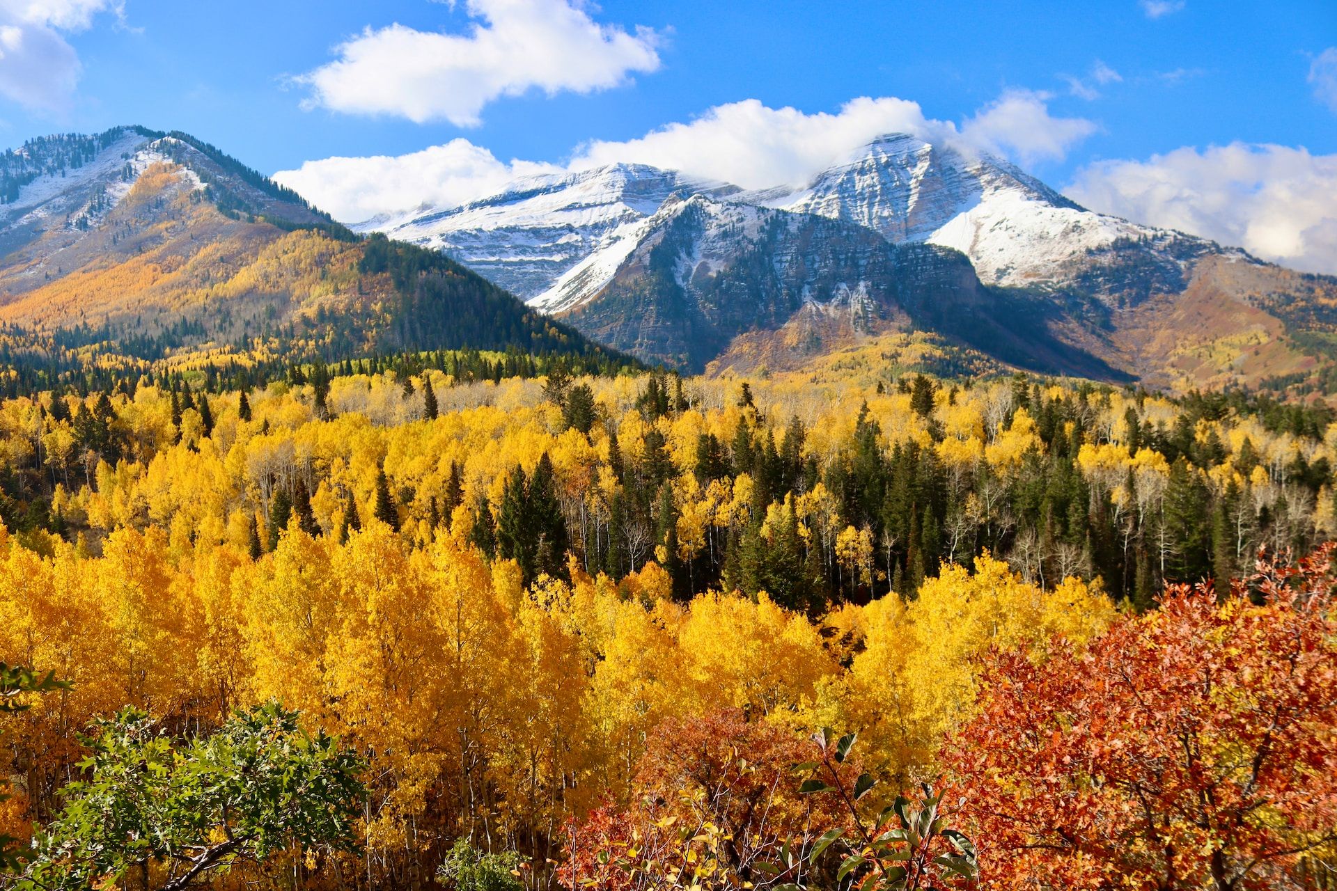 Is America's Most Scenic Fall Foliage In This Surprising State?