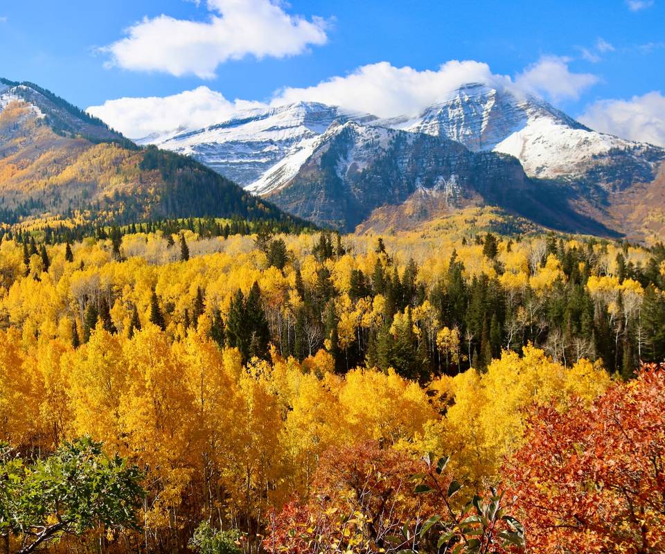 Senic Fall Is America's Most Scenic Fall Foliage In This Surprising State?