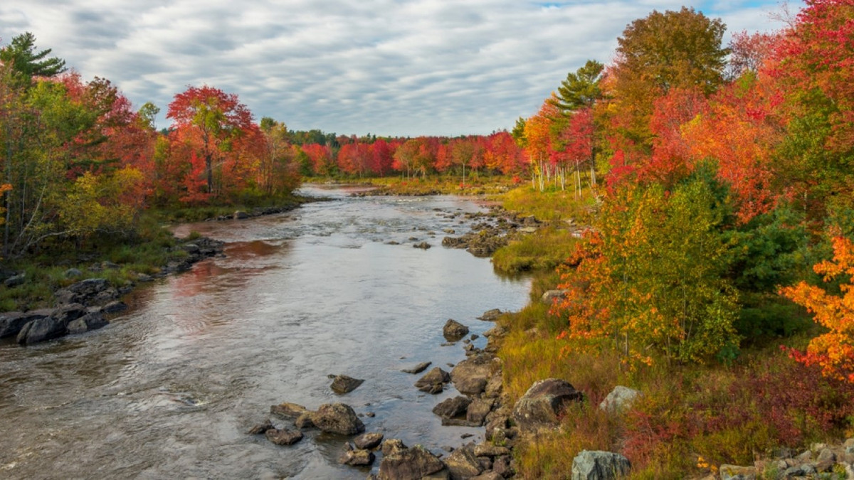10 Best Ellsworth Maine Hotels For A Fall Getaway Filled With Scenic ...