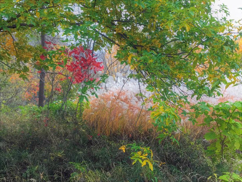 Fall Is Underrated In Wisconsin: 10 Scenic Places To See Fall Foliage
