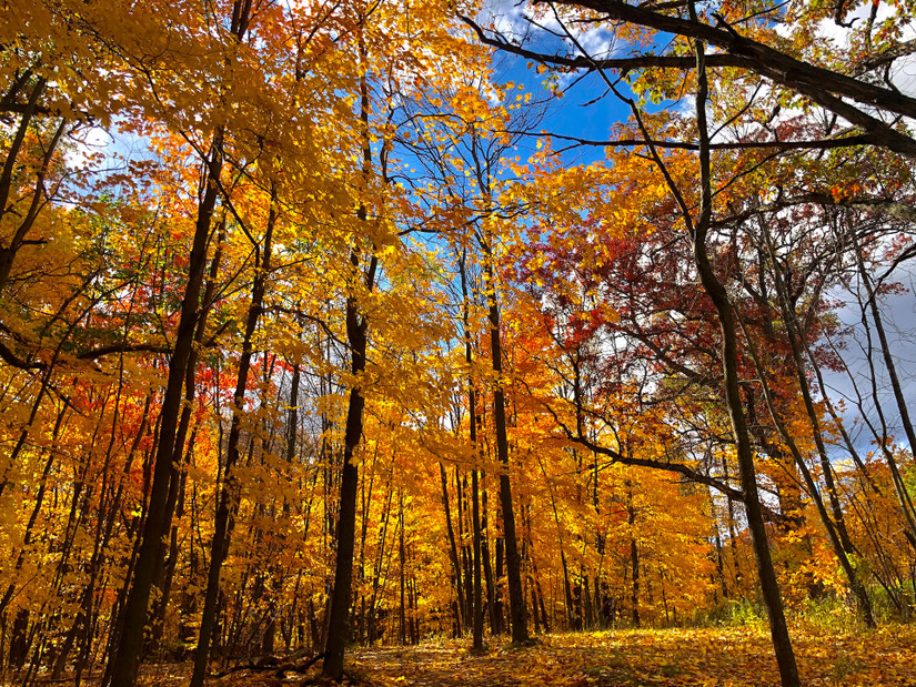 Fall In Wisconsin Fall Is Underrated In Wisconsin: 10 Scenic Places To See Fall Foliage