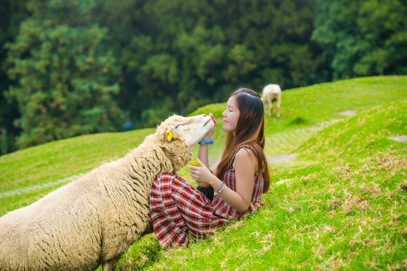 10 Underrated Asia Destinations Where You Can See Fall Foliage (& Where ...