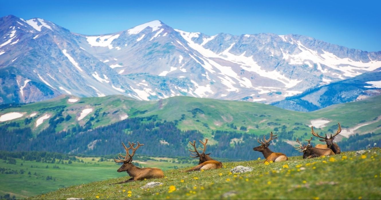7 Cutest Small Towns Near Denver In 2024