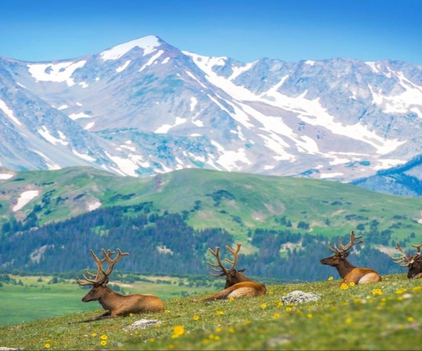 Denver Colorado Rural 7 Cutest Small Towns Near Denver In 2024
