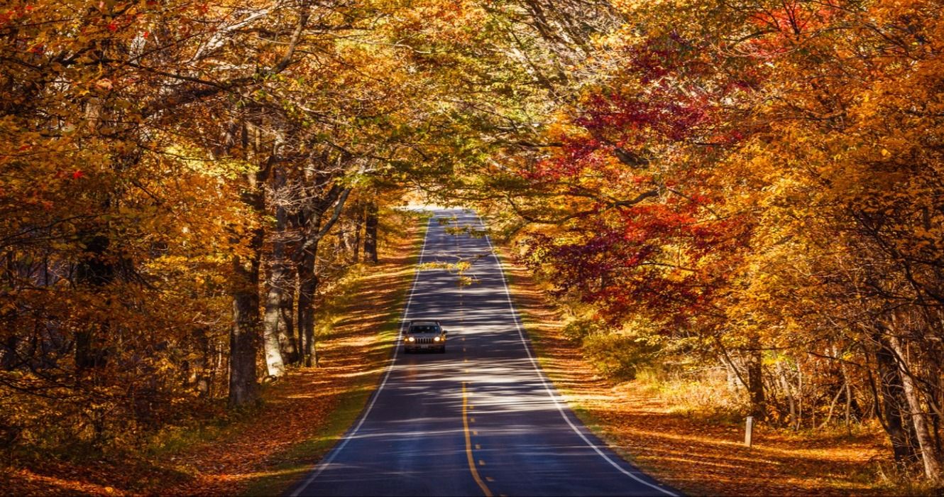 Skip The Blue Ridge Parkway For This Scenic Drive (Also In The Blue ...