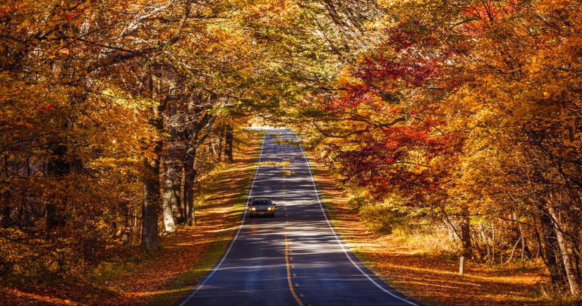 This Is The Most Beautiful Town To Visit In Virginia This Winter