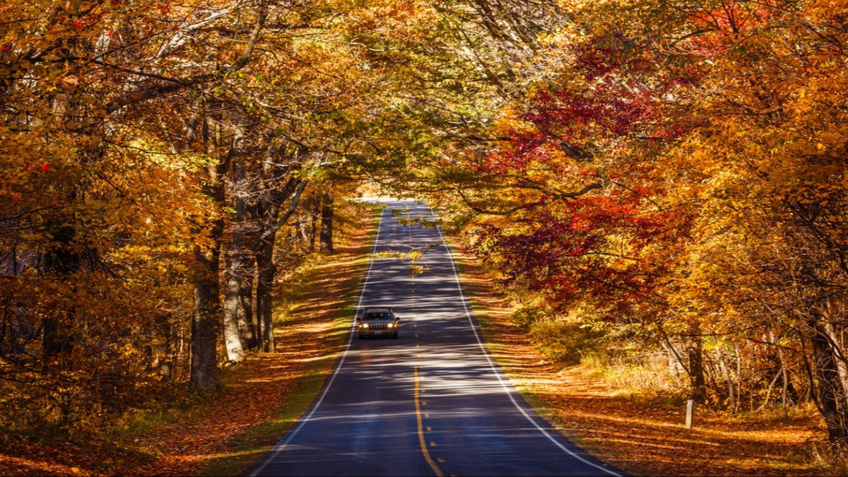 10 Amazing Trips To Take In The Fall In Virginia