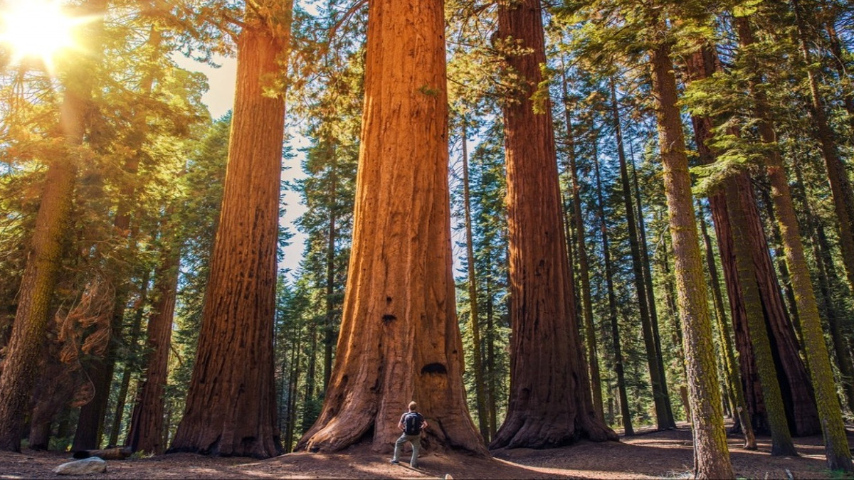 10 Things To Do Near Redwood National Park Complete Guide To The Home 10-things-to-do-near-redwood-national-park-complete-guide-to-the-home