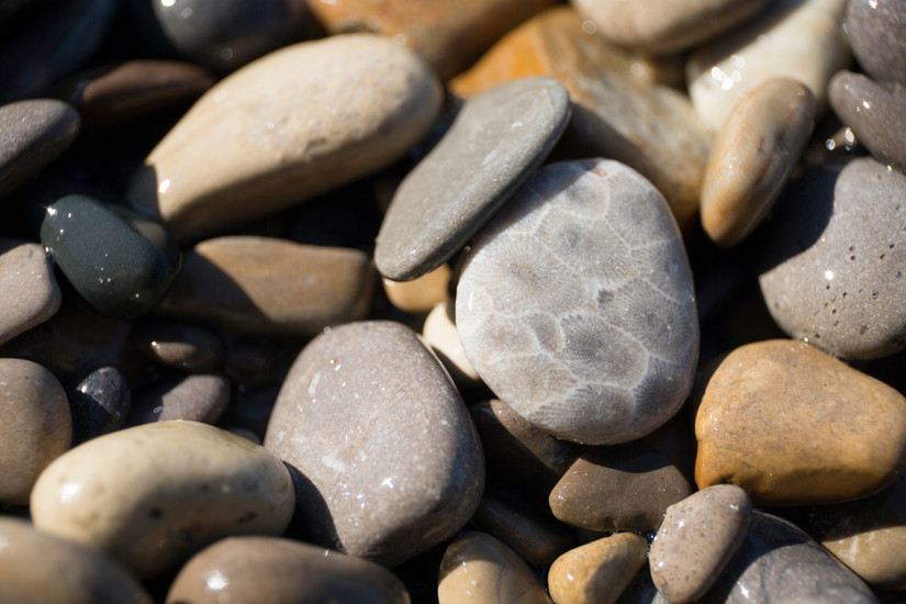 Tiny Rocks Michigan 10 Best Rock Hunting Beaches In Lower Michigan
