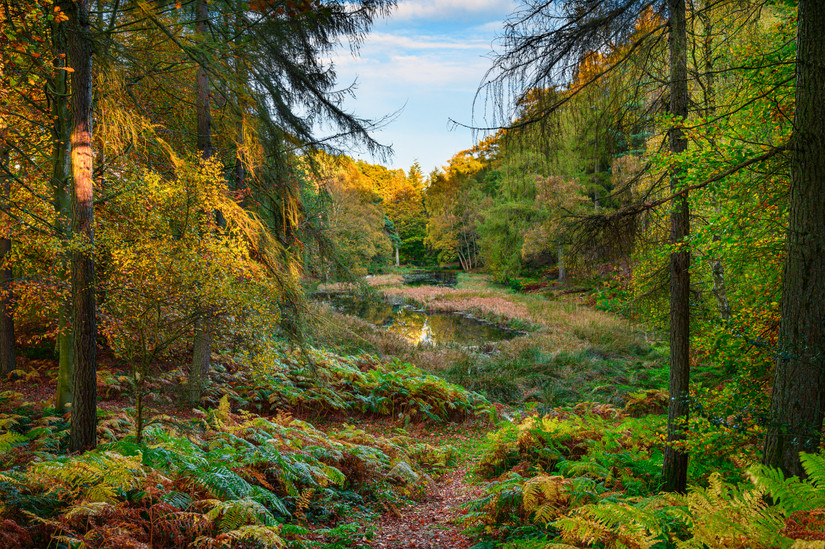 England October 10 Best Hikes In The UK With The Most Gorgeous Fall Foliage Colors