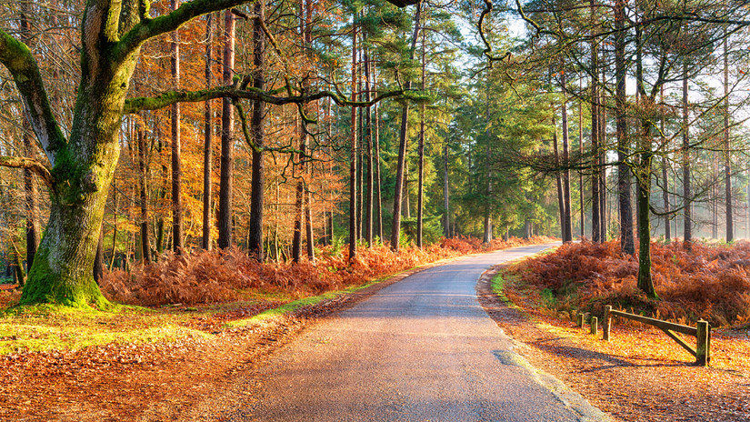 10 Best Hikes In The UK With The Most Gorgeous Fall Foliage Colors