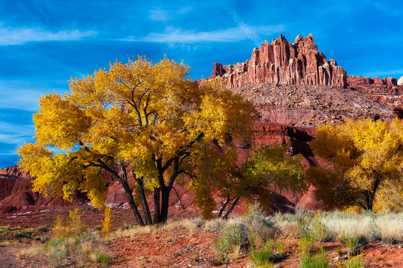 Utah In November Leaf Peeping In US National Parks: Where To Go In November