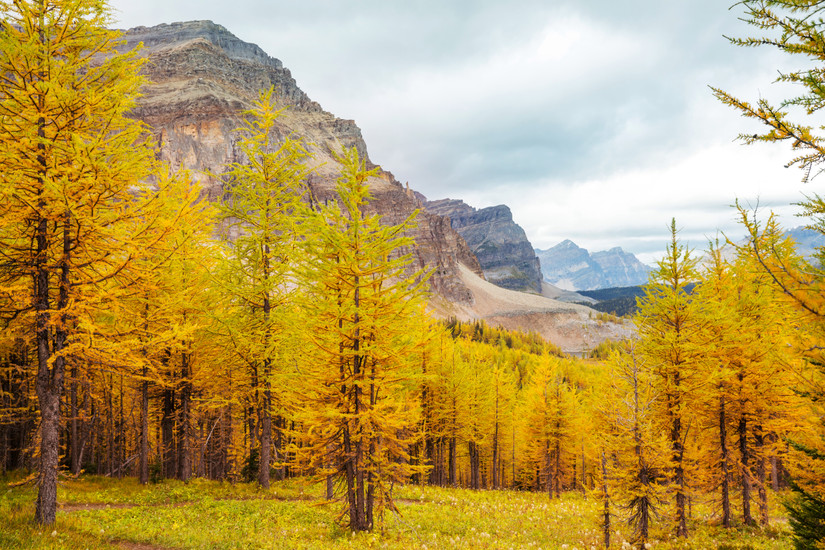 Visiting Banff In October? 10 Things To Do During Your Scenic Mountain ...