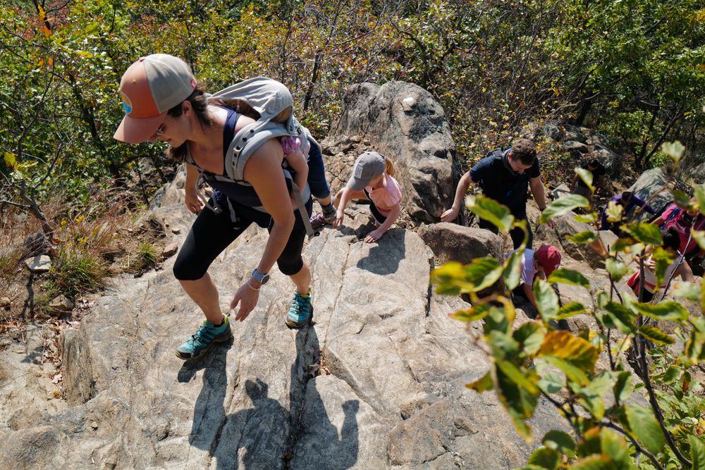 Rock climbing when hiking at Breakneck Ridge, Hudson Highlands State Park Preserve