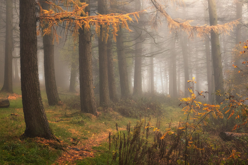 10 Best Hikes In The UK With The Most Gorgeous Fall Foliage Colors