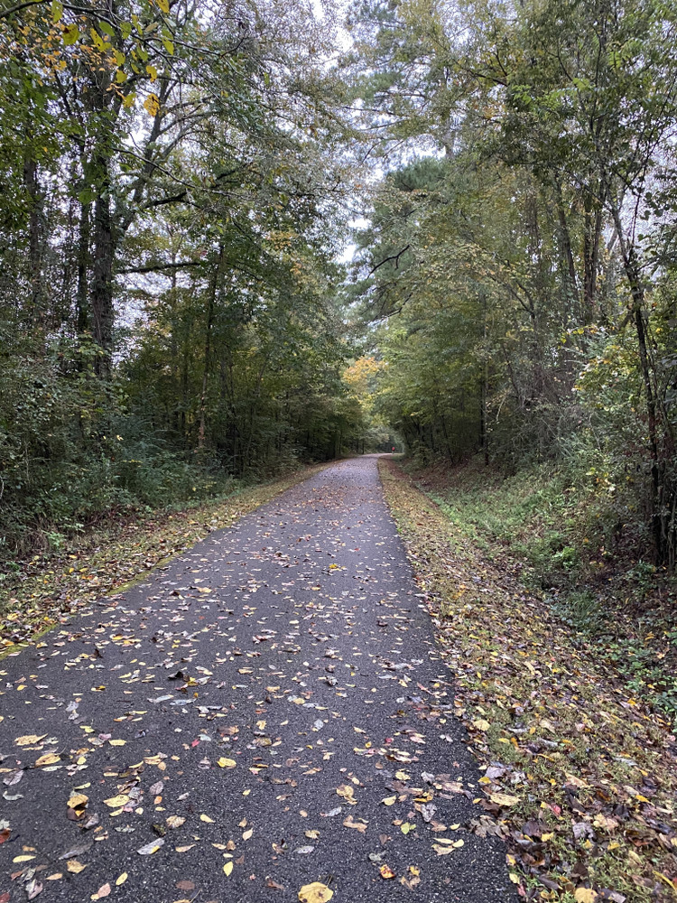 10 Beautiful Rail Trails That Are Perfect For Anyone With An E-Bike
