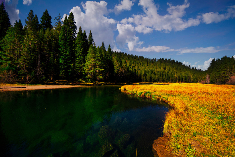 Here's Where You Can See Beautiful Fall Foliage In Lake Tahoe