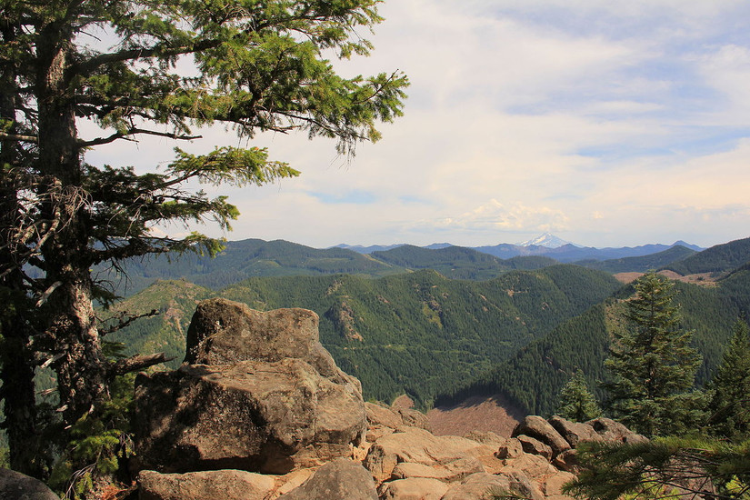 Table Rack Hike 10 Scenic Hikes And Trails In Table Rock State Park, South Carolina