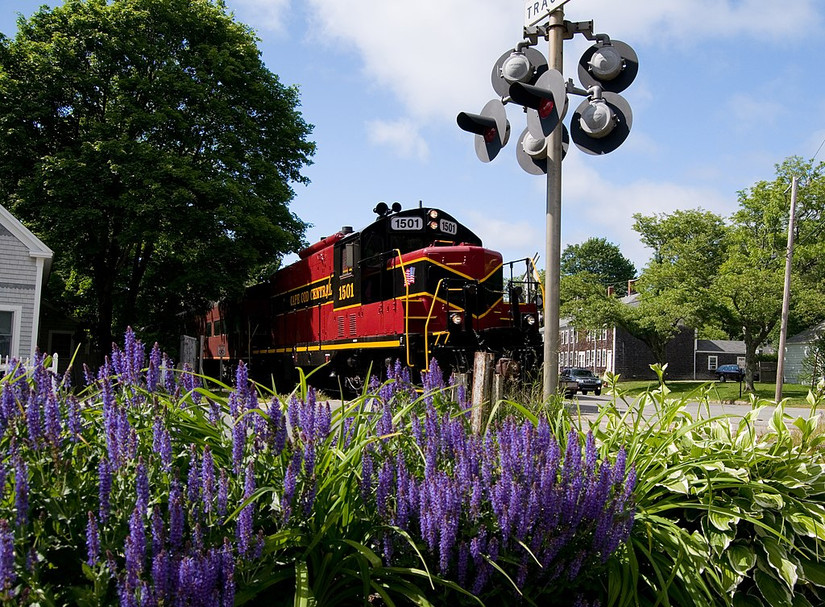 10 Scenic Train Rides Throughout East Coast With The Best Views