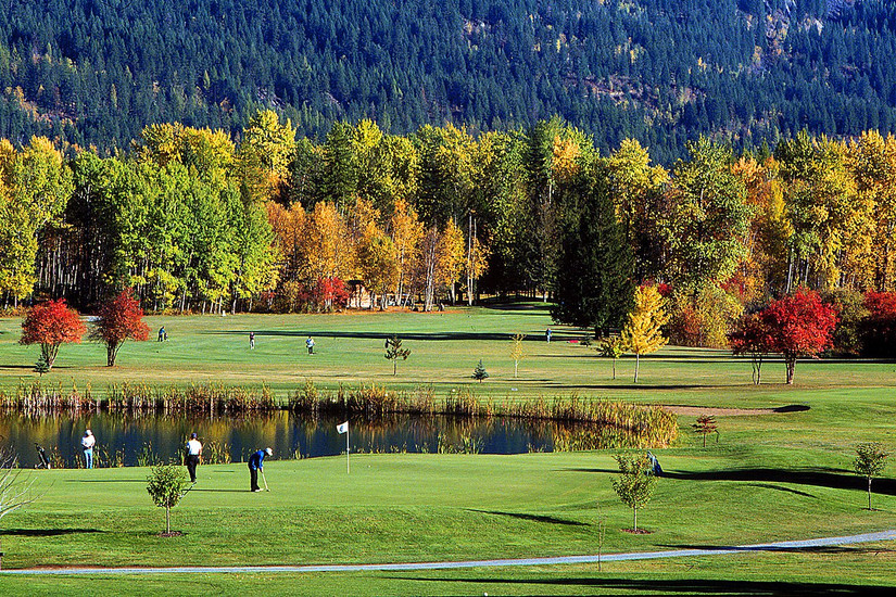 Exploring Fall Foliage: 10 Scenic Road Trips In The Pacific Northwest